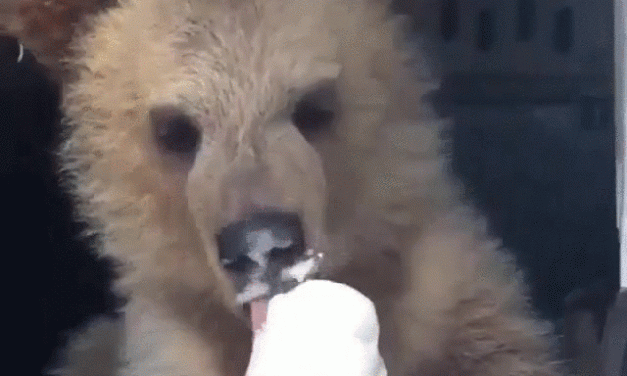 New Pinball Dictionary: Vanilla Ice Cream / Dry Multiball / Naked Multiball