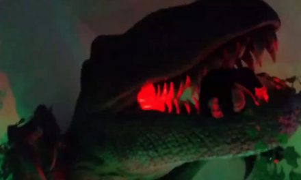 Welcome to EDZ’s Jurassic Park!