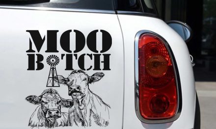 TiltTrek: District 82