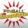 Pinball Shenanigans: Eddie D’Orazio’s collection, Tour and Tournament