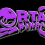 Portal Pinball Tips 6 & 7 Flipper Skills