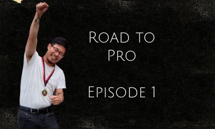 Road to Pro (Pinball Player)