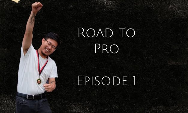 Road to Pro (Pinball Player)