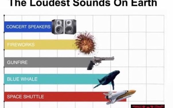 The loudest sound in the world?