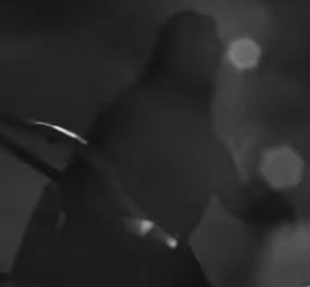 Godzilla trailer analysis