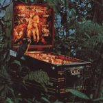 A casual game of Jungle Lord